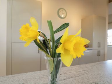 A vase with yellow daffodils on a kitchen counter with cabinets and a clock in the background at South Barn Cottage in Hatford near Stanford In The Vale