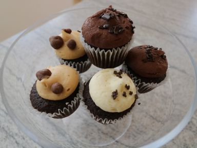 A glass bowl with five chocolate cupcakes topped with different colored frostings and chocolate chips