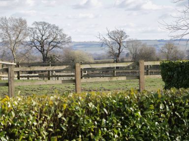 A field with wooden fencing and bushes in the foreground with trees and hills in the background at South Barn Cottage in Hatford near Stanford In The Vale