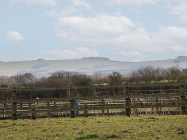 A grassy field with wooden fences and trees with hills in the background at South Barn Cottage Hatford near Stanford In The Vale