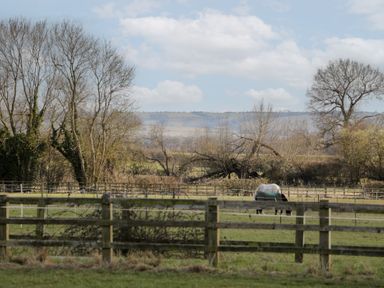 A grassy paddock with fenced areas and two horses grazing in the countryside at South Barn Cottage in Hatford near Stanford In The Vale