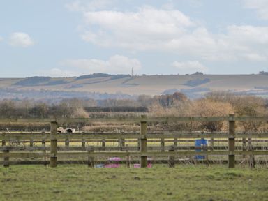 A farm field with wooden fences and distant hills at South Barn Cottage Hatford near Stanford In The Vale
