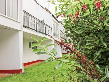 A garden with green grass and a large leafy plant with red flowers beside a white building with balconies at Tamar Cottages 35 in St Ann's Chapel Cornwall
