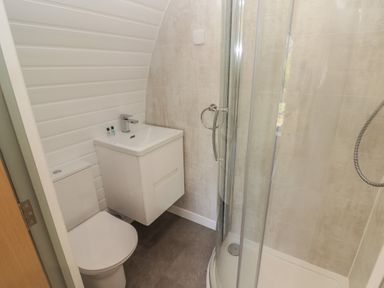 A small bathroom with a toilet a wall-mounted sink and a curved glass shower enclosure at The Rowan Pod in Cowbridge