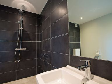 A bathroom with a white sink and faucet a shower area with dark tiles and a mirror showing a toilet at Moult Hill Barn in Salcombe