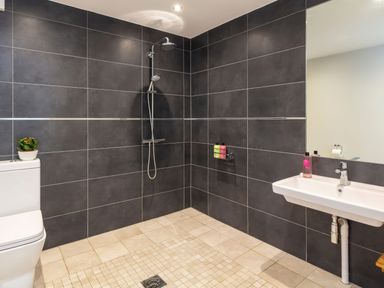 A bathroom with a toilet a shower area a sink with a mirror and toiletries at Moult Hill Barn Salcombe