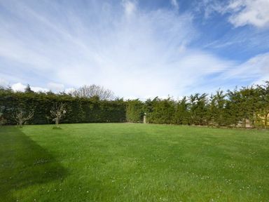 A grassy garden with small trees and tall hedges under a blue sky at Croft Cottage in Alnwick