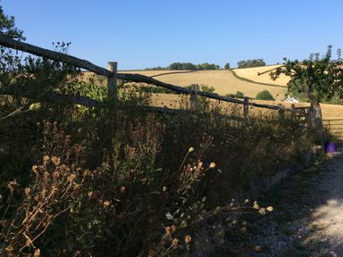 A fence along a field with grass and trees at Westacombe Farm Dunsford near Tedburn St Mary