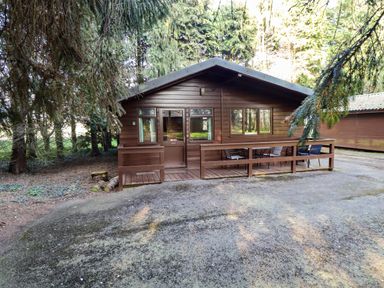 A brown wooden cabin surrounded by trees with a patio and chairs at Pheasant in Withern near Alford