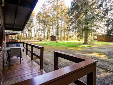 A wooden porch with a table and chairs overlooking a gravel path and trees at Pheasant in Withern near Alford