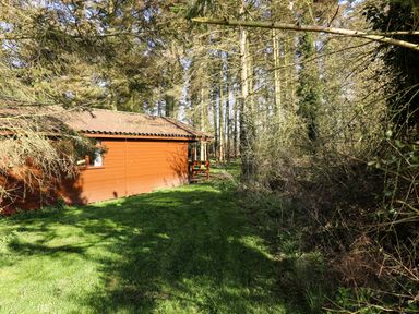 A wooden cabin next to a grassy area and trees at Kestrel in Withern near Alford