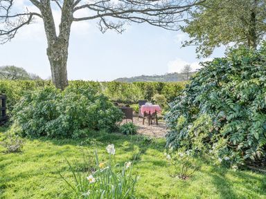 An outdoor garden area with a tree bushes and a table with chairs covered by a pink checkered tablecloth at Pant Y Cwtsh in Kidwelly