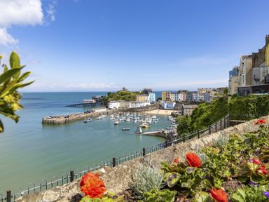 A harbor with boats, colorful buildings, a pier, and flowers in the foreground at No 10 Croft House in Tenby