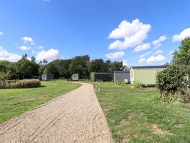 A pathway with green sheds and trees at Magnolia in Grimsby