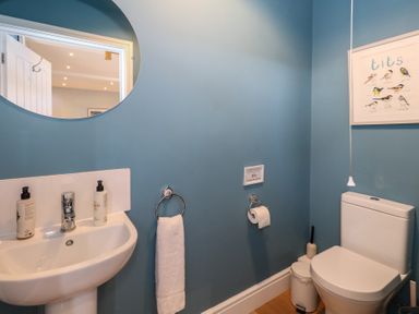 A bathroom with a sink mirror towel toilet and a framed bird print at Stapleford Farm in Hooke near Beaminster