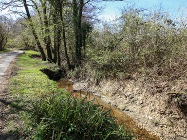A small stream running alongside a dirt path with trees and bushes surrounding it at Stapleford Farm in Hooke near Beaminster