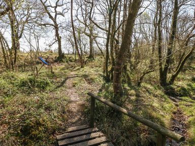 A woodland path with a wooden bridge and children's slide in the background at Stapleford Farm in Hooke near Beaminster