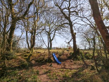 An outdoor play area with trees stairs a blue slide and a swing at Stapleford Farm in Hooke near Beaminster