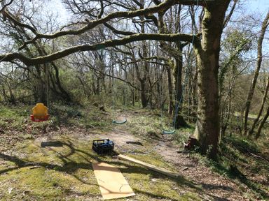 An outdoor area with three swings hanging from tree branches and some wooden planks on the ground at Stapleford Farm in Hooke near Beaminster
