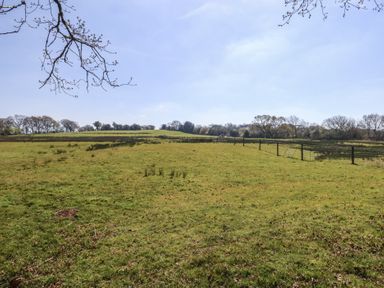 A grassy field with a wire fence and trees in the background at Stapleford Farm Hooke near Beaminster
