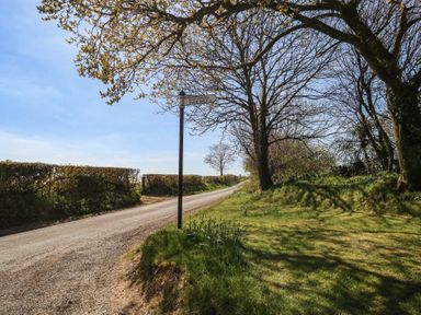 A country road with a signpost and trees by the side at Stapleford Farm in Hooke near Beaminster