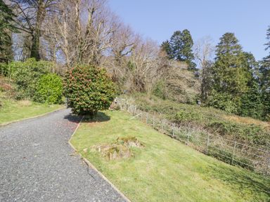 A gravel driveway with a bush in the middle next to a grassy area and trees at Bwthyn y Coediwr The Woodcutters Cottage in Tan Y Bwlch Maentwrog