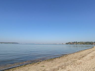 A sandy beach with calm water and a distant shoreline under a clear blue sky at Flat 7 Sand Acres in Canford Cliffs