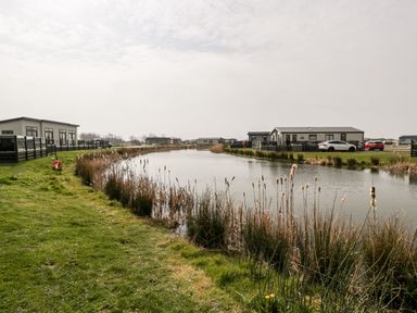 A pond surrounded by grass and reeds with modern homes and cars in the background at Summerdown in Brean