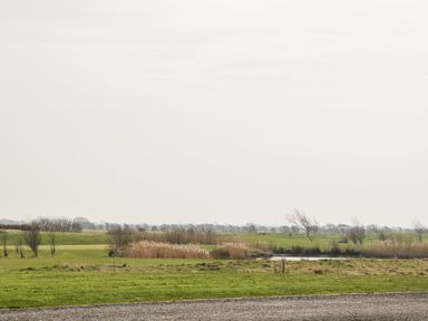 A grassy field with a small water body and sparse trees under an overcast sky at Summerdown in Brean