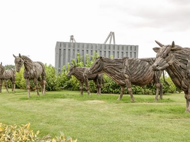 Wooden animal sculptures including cows and horses on grass with bushes and a wooden fence in the background at Summerdown Brean