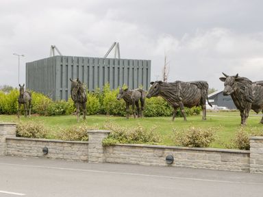 Sculptures of cows and a horse made of wood on a grass lawn behind a low stone wall at Summerdown in Brean