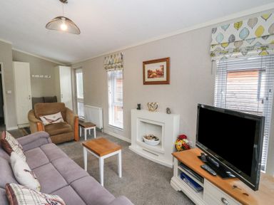 A living room with a sofa armchair coffee table television and fireplace at Lodge 2 in Auchterarder