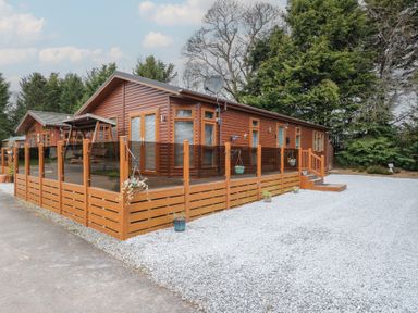 A wooden cabin with a fenced deck and gravel driveway surrounded by trees at Lodge 2 in Auchterarder