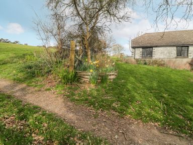 A garden with a building in the background and a wooden fence near Wringford Farm Annexe in Rame near Kingsand