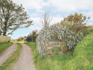 A dirt driveway with grass in the center and a stone sign covered with purple flowers and greenery at Wringford Farm Annexe in Rame near Kingsand