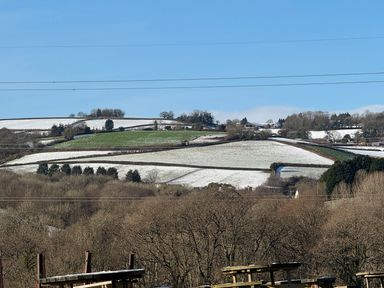 Snow-covered fields and trees at Woodland View 31 - The Hawthorns near Finlakes Holiday Park