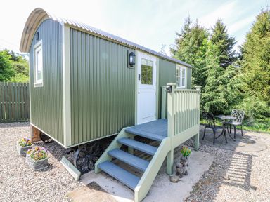 A small green cabin on wheels with stairs leading to a white door and outdoor seating at Airlie Burnside near Forfar