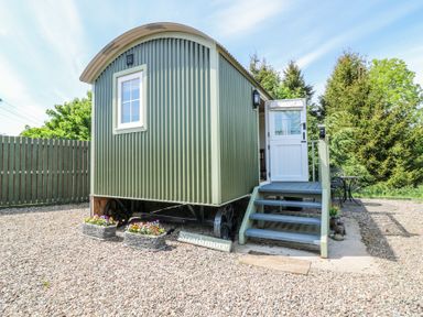 A small green corrugated metal cabin on wheels with steps leading to an open white door surrounded by gravel and trees at Airlie Burnside near Forfar