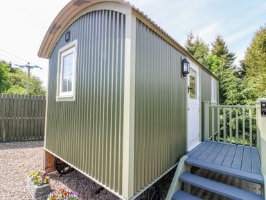 An exterior view of a small green corrugated metal cabin with a white door and window a small porch with blue stairs and railing and flowers in pots at the base of the cabin at Airlie in Burnside near Forfar