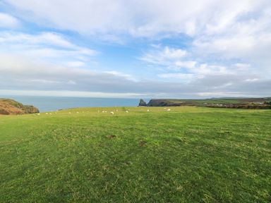 A coastal view with sheep grazing at Puffin Cottage in Tintagel