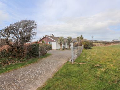 A driveway leading to a house with palm trees and bushes surrounded by grass and fencing at Seafield in Rhydwyn near Cemaes Bay