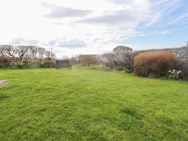 A garden with a wooden bench surrounded by bushes and flowers at Seafield in Rhydwyn near Cemaes Bay