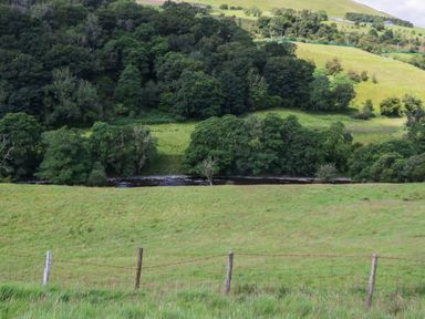 A river surrounded by trees and grass at Howgill Head in Kendal
