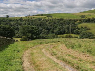 A path winding through grass and trees at Howgill Head in Kendal