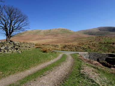 A landscape with a tree and stone wall at Howgill Head Kendal