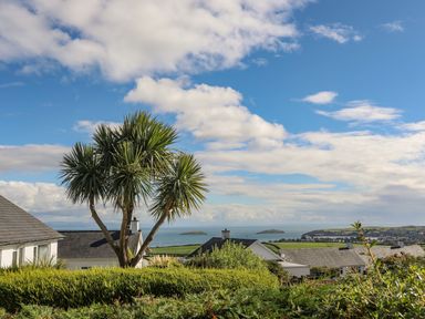 A view of houses with a palm tree and the sea in the background at Trem Ynys 3 bed in Abersoch