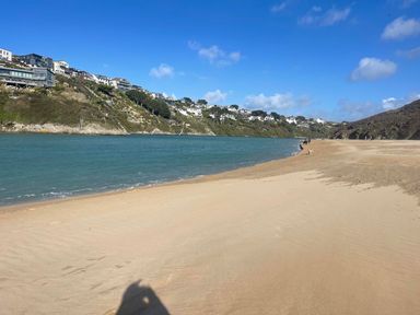 A beach area with water and houses near the shore at Buzzards Lodge near Victoria