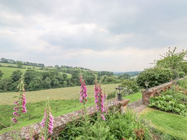Property photo 29 of 37