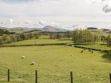 A landscape with sheep grazing and trees at Cyffdy Cottage - Arenig Bala