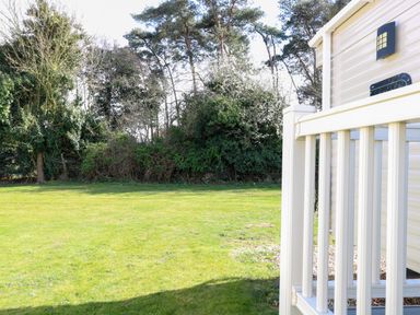 A grassy yard with trees and shrubs next to a white railing of a building at 4 Foxburrow Hang in Fritton near Belton Norfolk